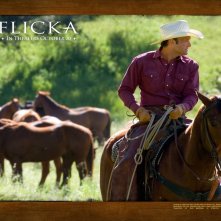 Un wallpaper del film Flicka - Uno Spirito libero