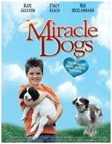 Locandina di I cani dei miracoli