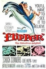 La locandina di Il Mio Amico Delfino