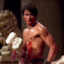 Tony Jaa combatte in una scena del film The Protector