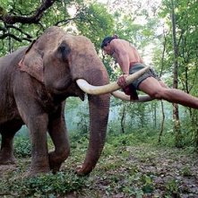 Tony Jaa in una incredibile scena del film The Protector