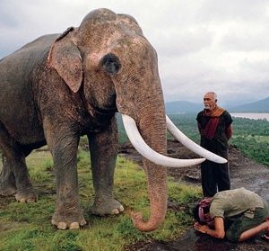 Tony Jaa in una scena del film The Protector
