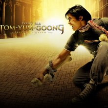 Wallpaper di The Protector - La legge del Muay Thai