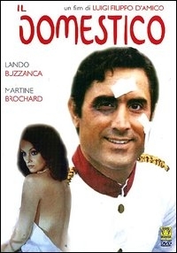 Locandina di Il domestico