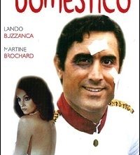La locandina di Il domestico