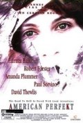 La locandina di American Perfekt - La strada verso l'inganno