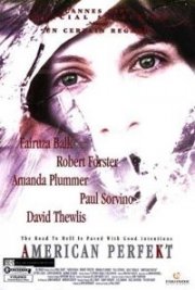 La locandina di American Perfekt - La strada verso l'inganno