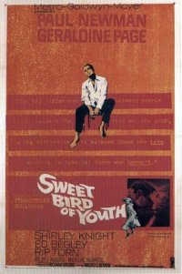 Locandina di La dolce ala della giovinezza