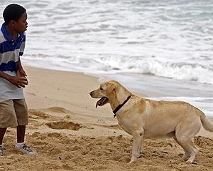 Malcolm David Kelley nell'episodio 'La casa del Sol Levante' di Lost