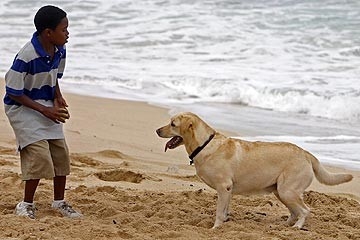 Malcolm David Kelley nell'episodio 'La casa del Sol Levante' di Lost