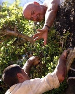 Matthew Fox e Terry O'Quinnnell'episodio 'Il coniglio bianco' di Lost