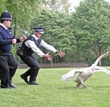 Nick Frost e Simon Pegg in Hot Fuzz