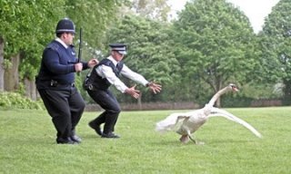 Nick Frost e Simon Pegg in Hot Fuzz