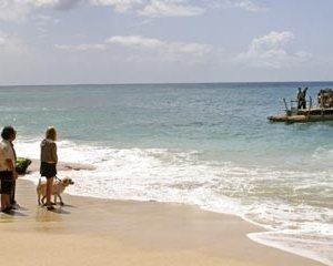 Un'immagine dell'episodio 'Esodo: parte 1' della stagione uno Lost