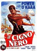 La locandina di Il cigno nero