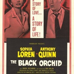 La locandina di Orchidea Nera