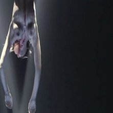 Una scena erotica del film Flower and Snake