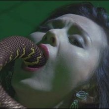 Una sequenza particolarmente audace del film Flower and Snake