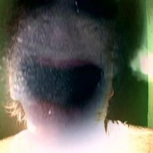 Una scena del film di Lynch INLAND EMPIRE