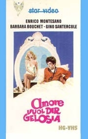 La locandina di Amore vuol dire gelosia