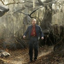 Ewan Mcgregor In Una Scena Di Big Fish 46296