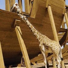 Steve Carell costruisce l'Arca in una scena di Un'impresa da Dio