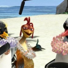 Un'immagine del film Surf's Up - I re delle onde