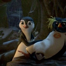 Un'immagine del film Surf's Up - I re delle onde