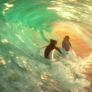 Un'immagine del film Surf's Up - I re delle onde