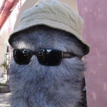 Un peloso interprete del film Le ragioni dell'aragosta