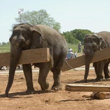Una scena di Un'impresa da Dio