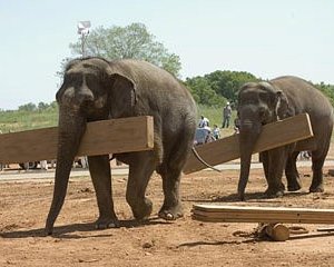 Una scena di Un'impresa da Dio