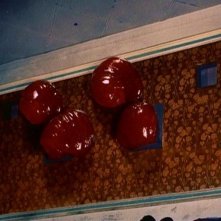 La strisciante gelatina aliena di BLOB, FLUIDO MORTALE