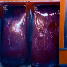 Una scena-cult di BLOB, FLUIDO MORTALE