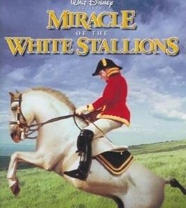 La locandina di L'ultimo treno da Vienna