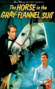 La locandina di Il cavallo in doppio petto