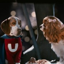 Una scena del film Underdog