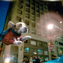 Una scena del film Underdog