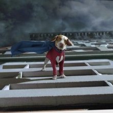 Una scena del film Underdog