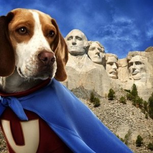 Una scena del film Underdog