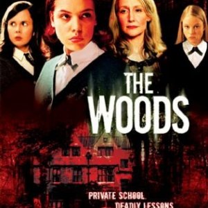 La locandina de Il mistero del bosco