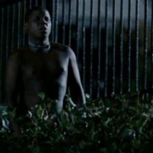 Una scena di Adamo ed Evo