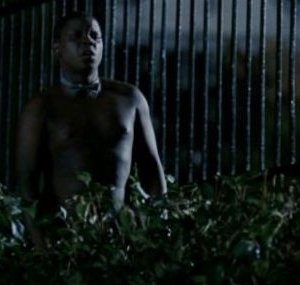 Una scena di Adamo ed Evo