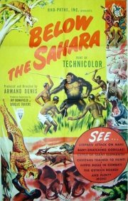 La locandina di Oltre il Sahara