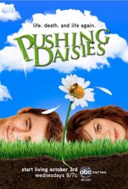 La locandina di Pushing Daisies