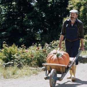 Una sequenza del film 'Il mio amico giardiniere'