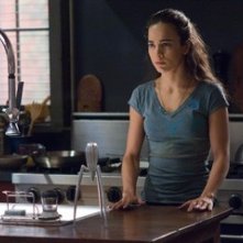 Alice Braga in una scena di I Am Legend, 2007