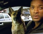 Io sono leggenda: il sequel fingerà che Will Smith non sia morto nell'originale