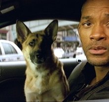 Will Smith in un'immagine di Io sono leggenda (I Am Legend)