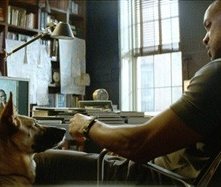 Will Smith in una scena di Io sono leggenda